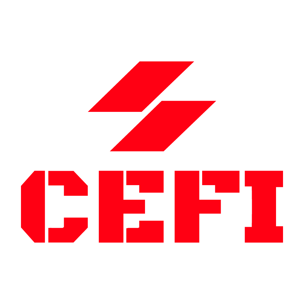 CEFI Capacitaciones